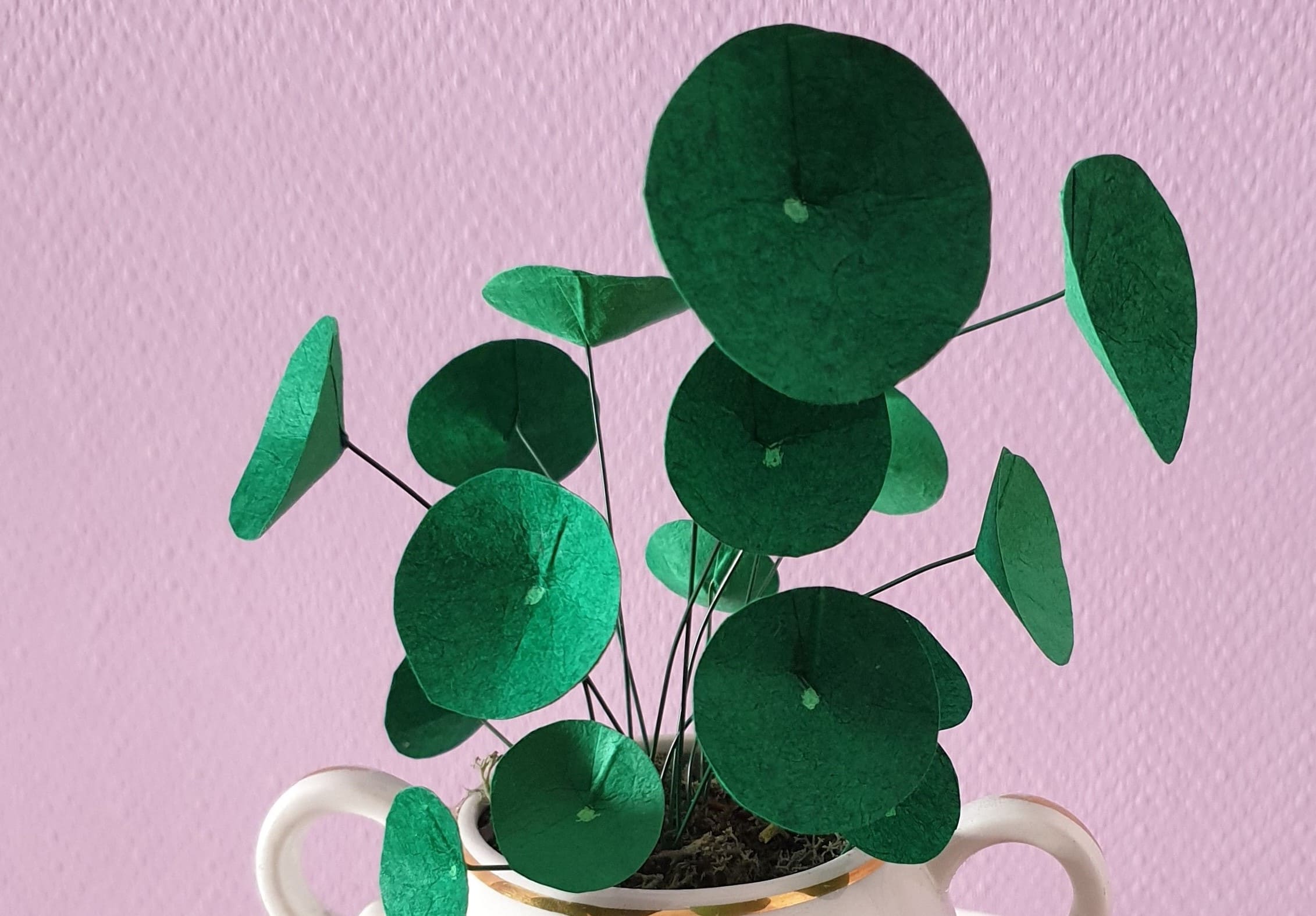 plantes en papier népalais