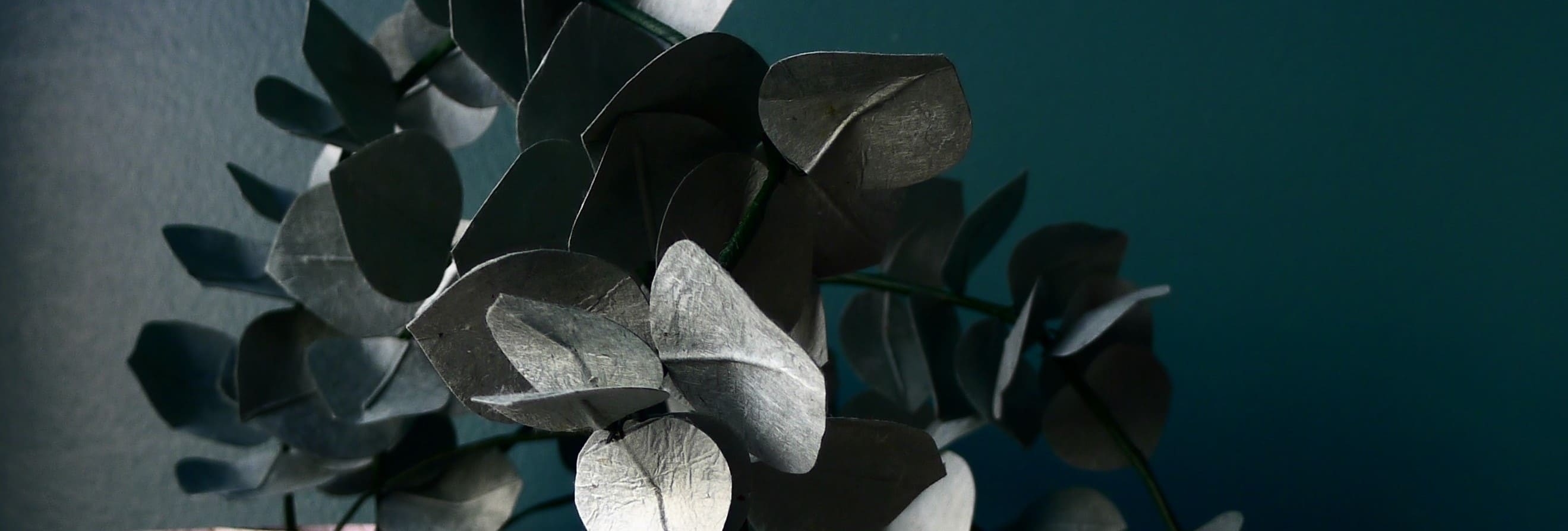 eucalyptus en papier népalais