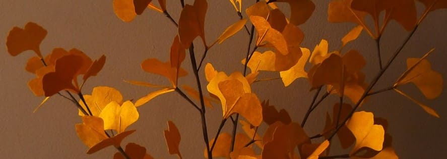 ginkgo en papier du Népal