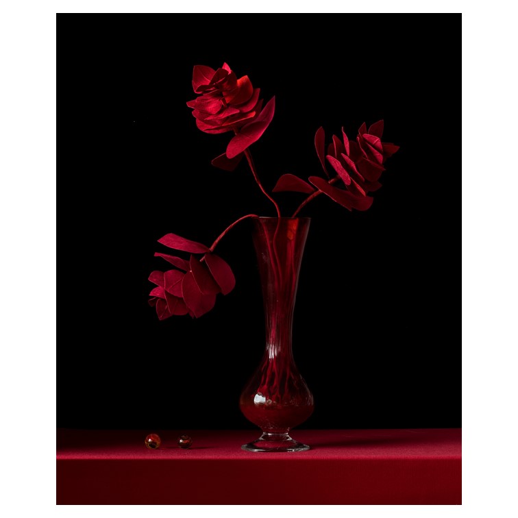 miniature photo collab Anne Combaz 1