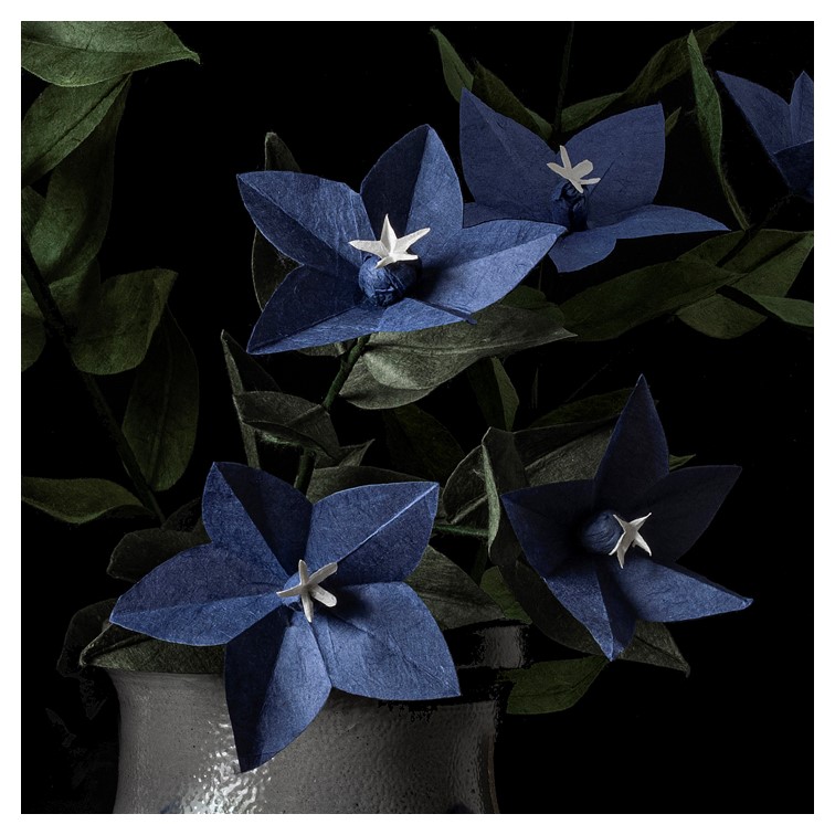 miniature photo collab Anne Combaz 2