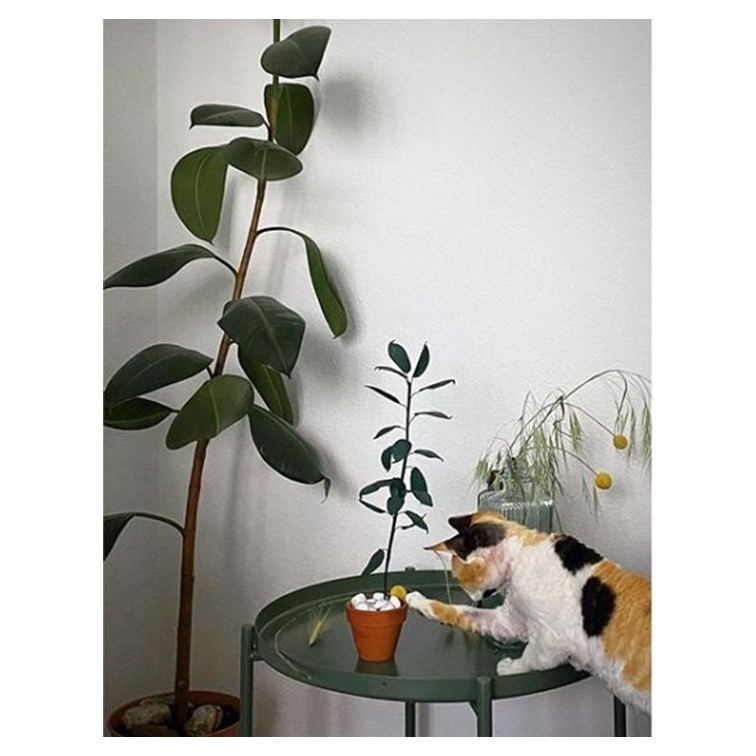 miniature photo 4 collab Simone Rex Life