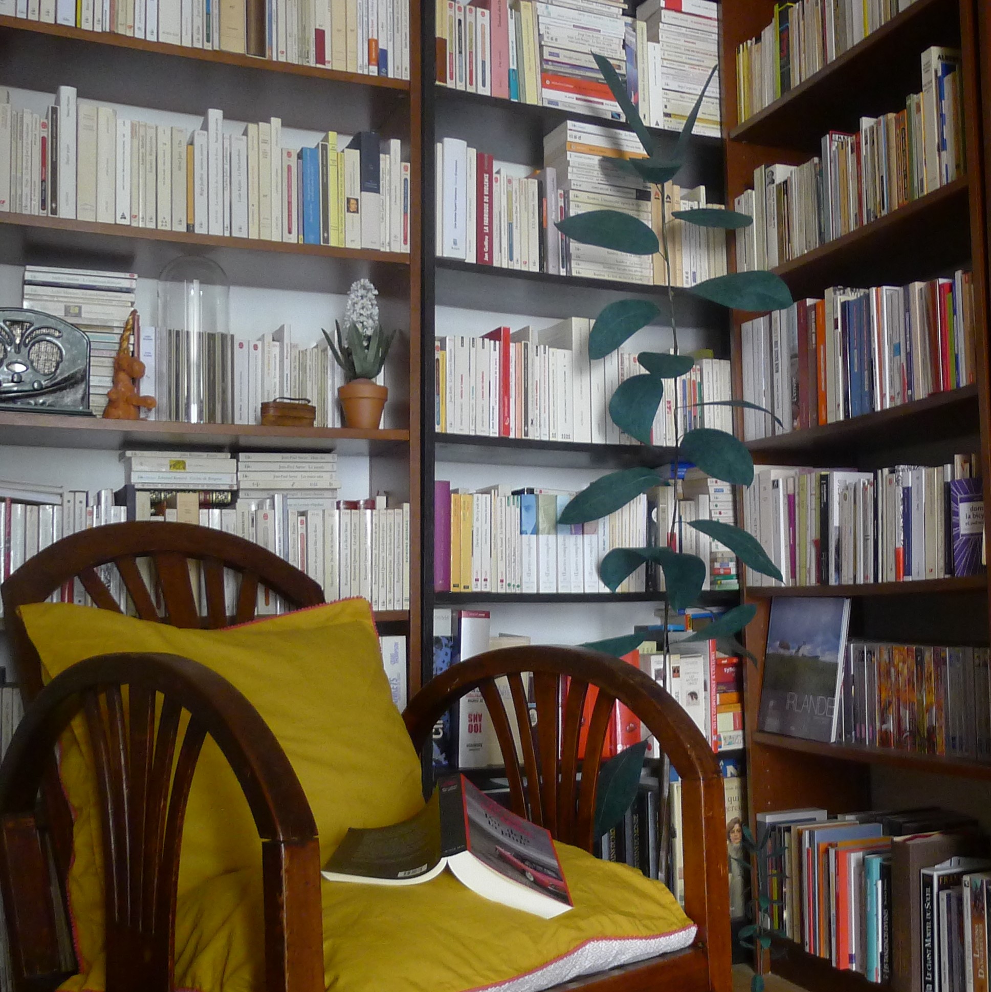 miniature photo 5 collab Simone Rex Life