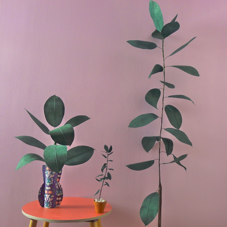 miniature photo 3 collab Simone Rex Life