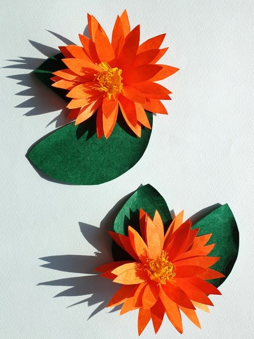 kit lotus orange