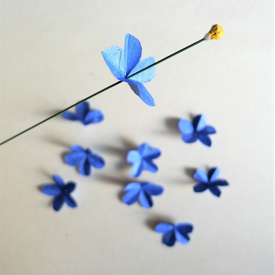 photo étape 3 tuto myosotis