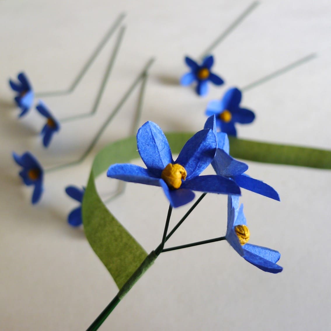 photo étape 5 fleurs tuto myosotis