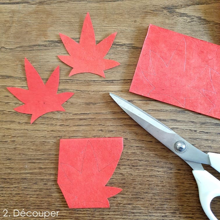 photo étape 2 tuto érable du Japon
