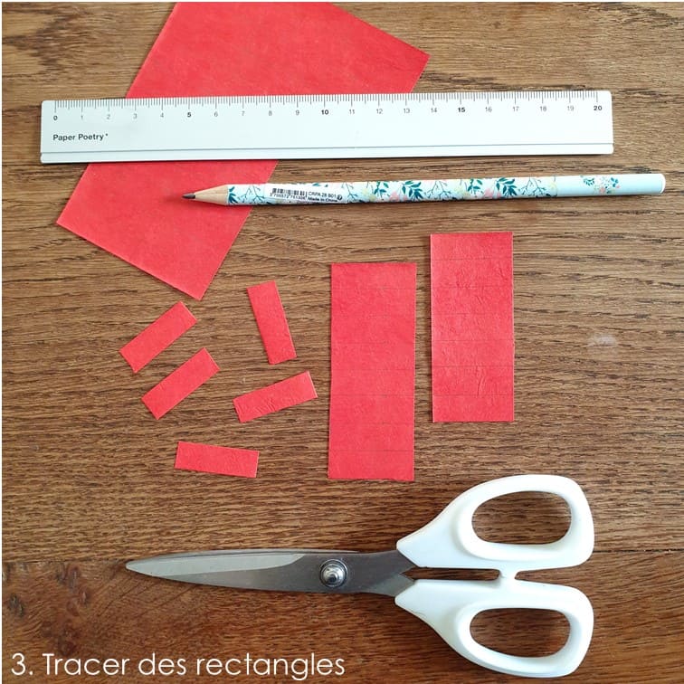 photo étape 3 tuto érable du Japon