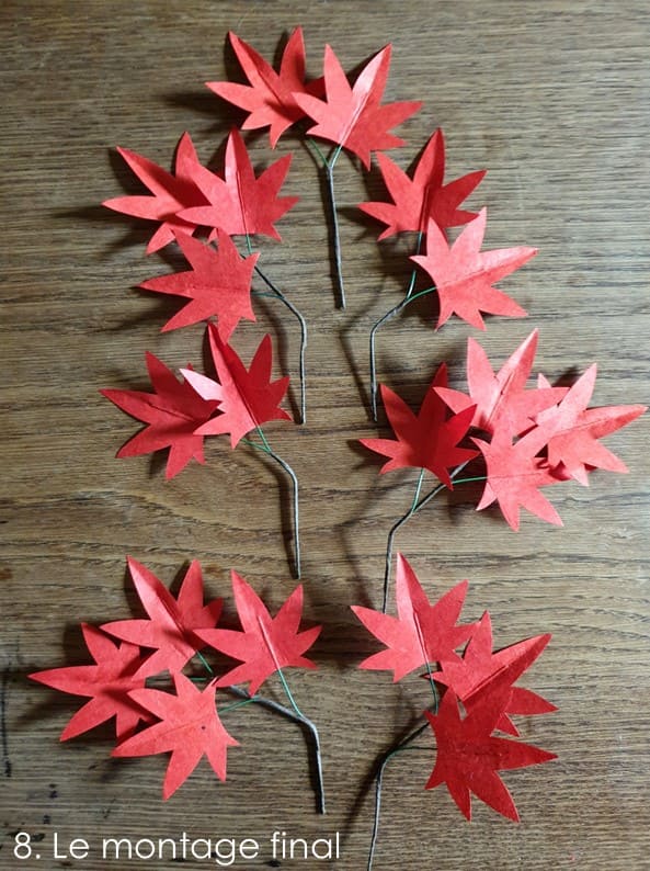 photo étape 7 fleurs tuto érable du Japon