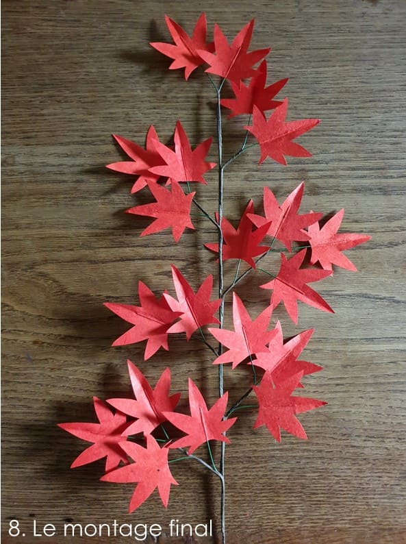 photo étape 8 fleurs tuto érable du Japon