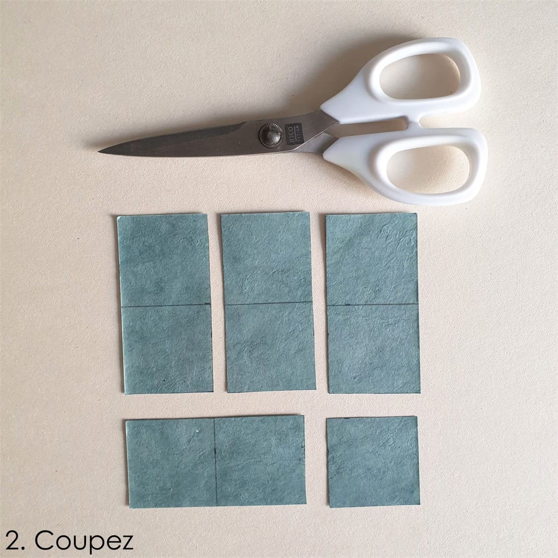 photo étape 2 tuto eucalyptus