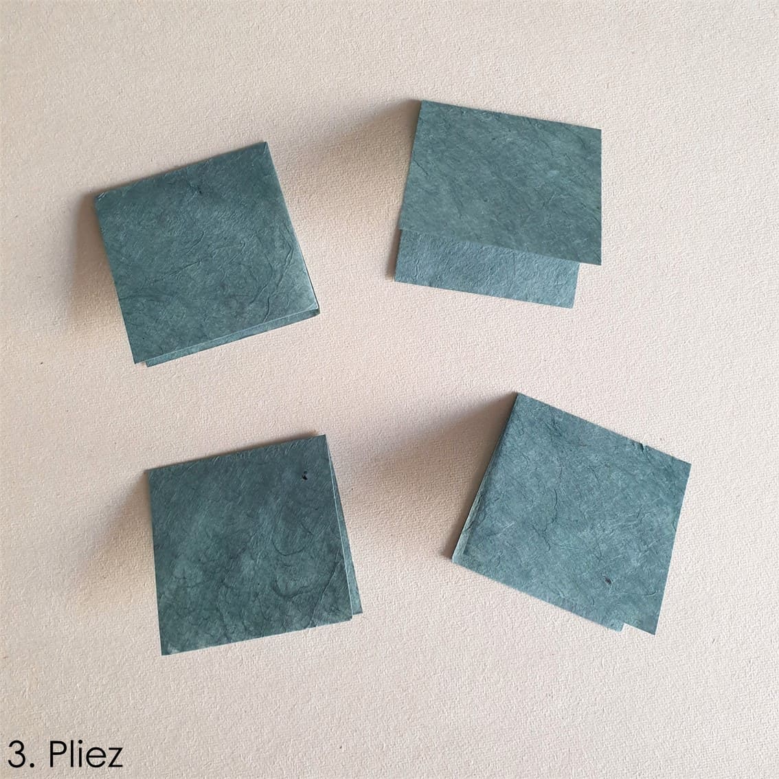 photo étape 3 tuto eucalyptus