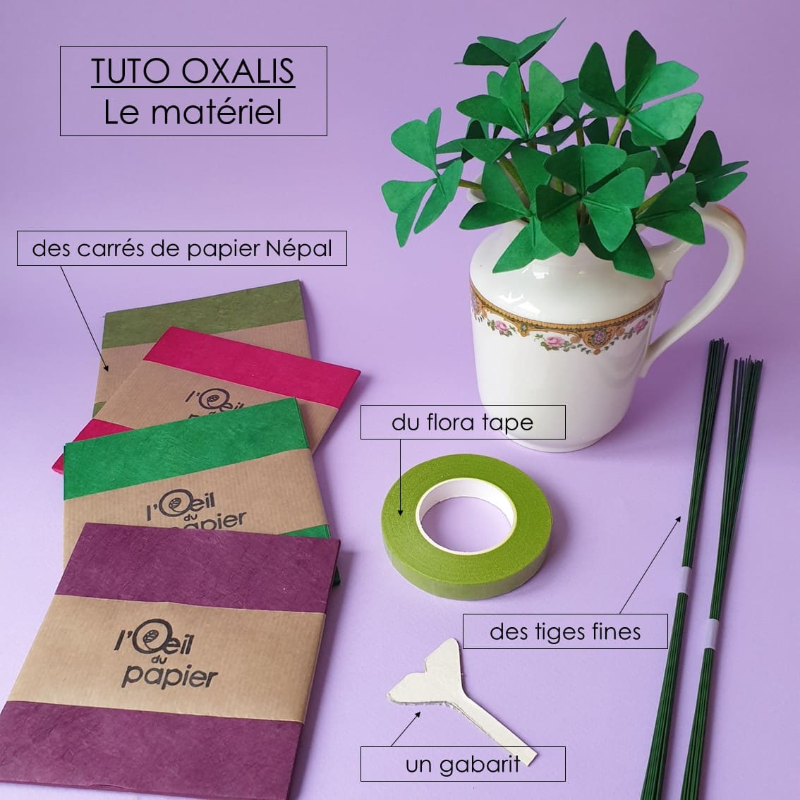 photo étape 1 tuto oxalis