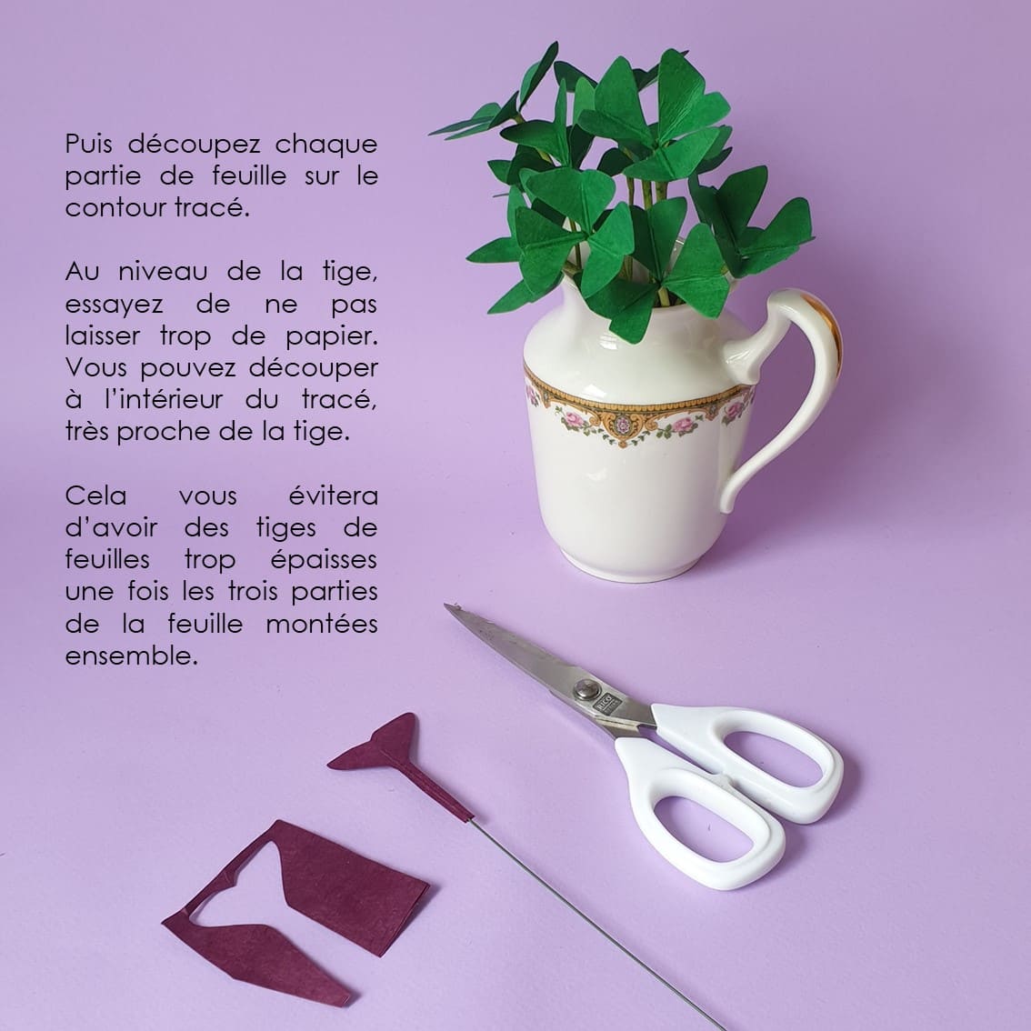 photo étape 10 fleurs tuto oxalis