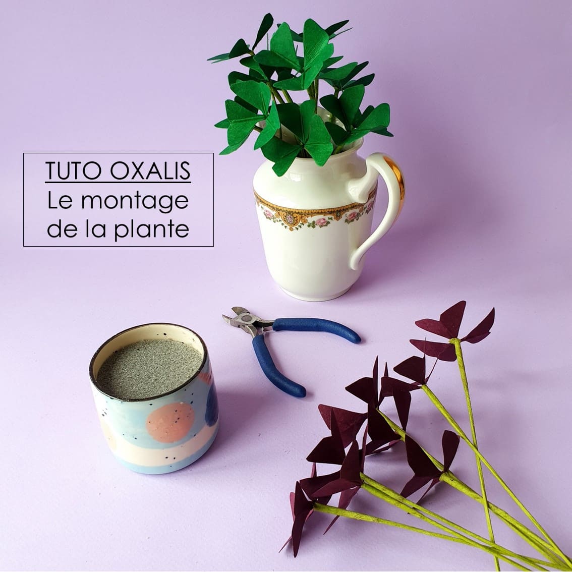 photo étape 13 fleurs tuto oxalis