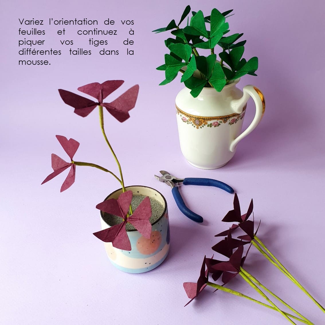 photo étape 16 fleurs tuto oxalis