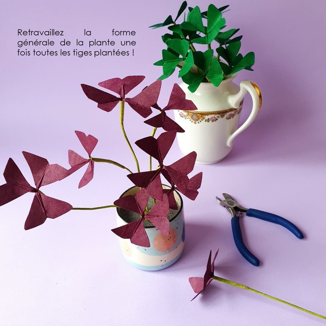 photo étape 18 fleurs tuto oxalis