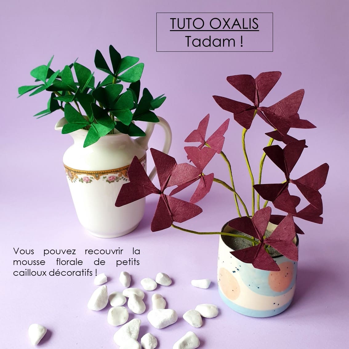 photo étape 19 fleurs tuto oxalis