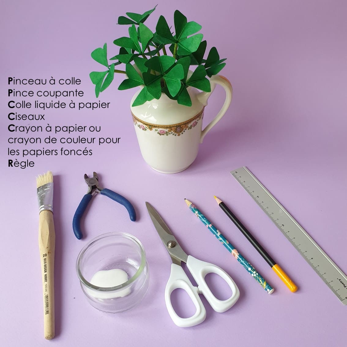 photo étape 2 tuto oxalis