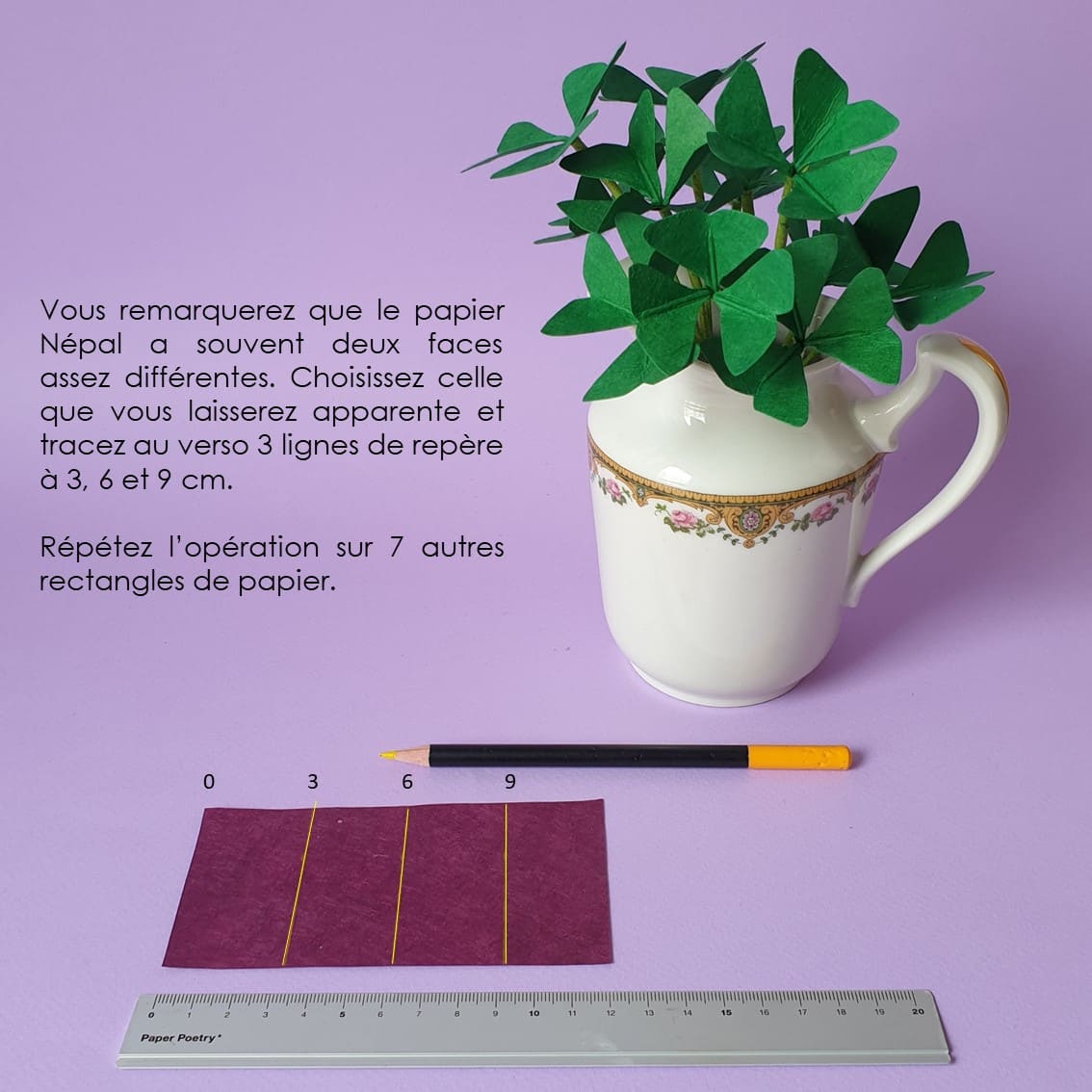 photo étape 5 fleurs tuto oxalis