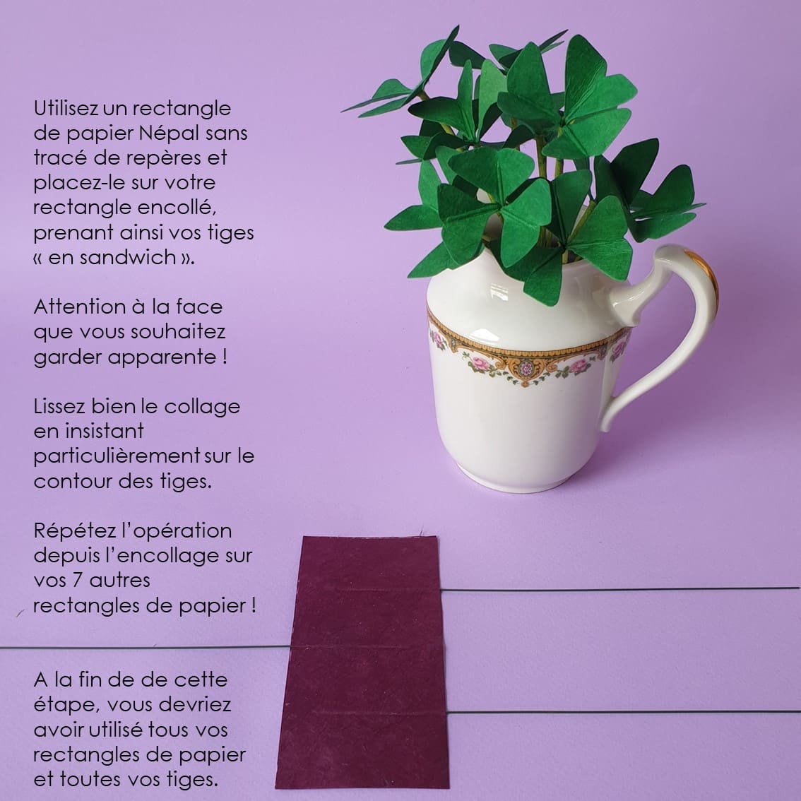 photo étape 7 fleurs tuto oxalis