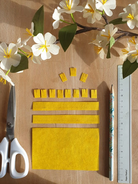 photo étape 1 tuto branches de cerisier