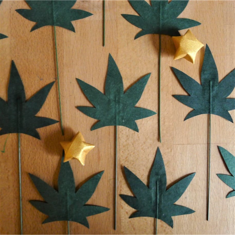 photo étape 1 couronne érable