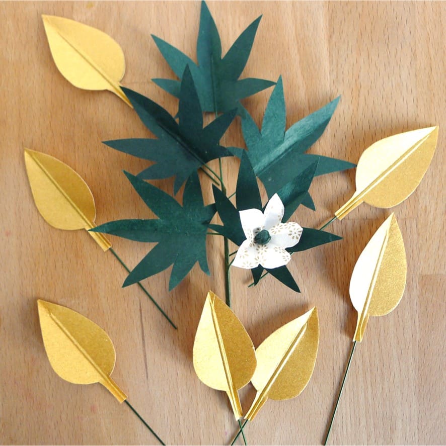 photo étape 3 feuilles de prunus