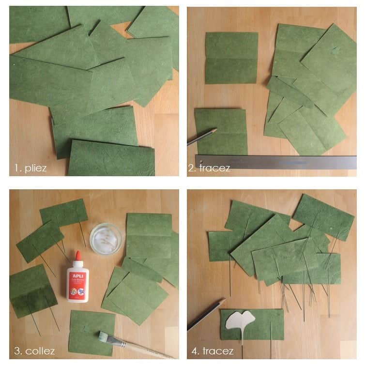 photo 1 tuto ginkgo